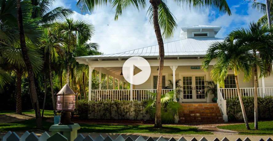 Jamaican Palm House