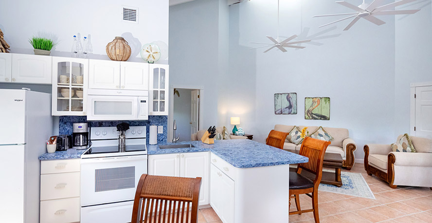 Malayan Palm East House