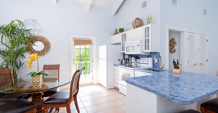 Malayan Palm East House