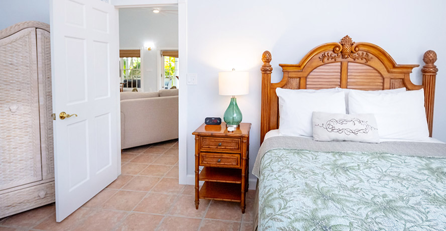 Malayan Palm East House